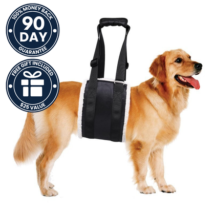 KYLIEA ProLift Rear Support Harness