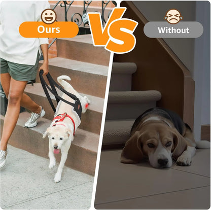 KYLIEA ProLift Rear Support Harness